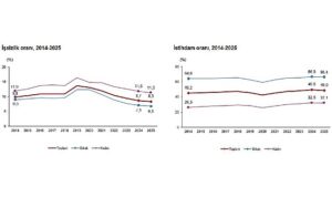 İşgücü İstatistikleri, 2025