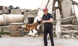 Momo enkaz için eğitiliyor