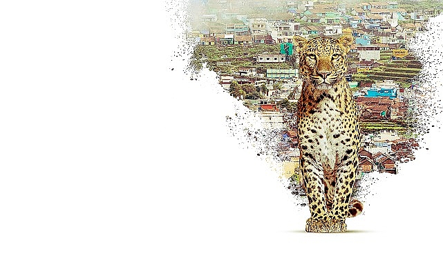 Nilgiri Dağlarını Keşfe Çıkaran   ‘Nilgiris: Mavi Dağların Hikayesi’,   22 Nisan Çarşamba 20.00’de   National Geographic WILD Ekranlarında!