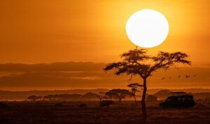 National Geographic NOW Seç-İzle Servisinin Ekim Ayı Teması ‘Afrika’!